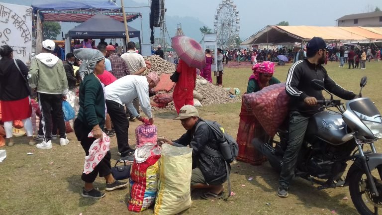 करिव पाँच करोड रुपैयाँको कारोवार गर्दै सकियो आलु महोत्सव