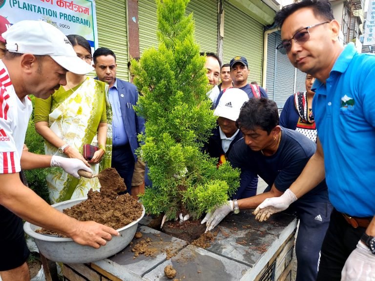 पोखरा -९ न्यूरोडस्थित बुटिक चौतारामा वृक्षरोपण