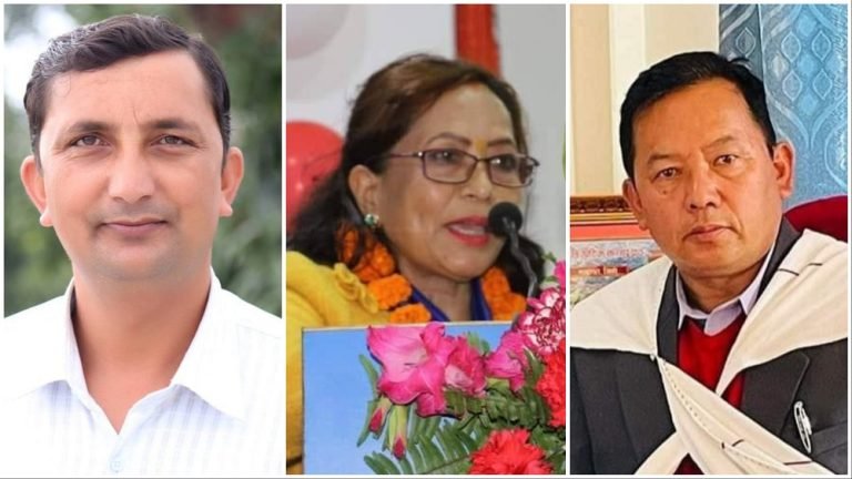 प्रेस चौतारी पत्रकारिता पुरस्कार माधव बराललाई, प्रेस चौतारी पत्रकारिता सम्मान  मीना गुरुङ र हुम गुरुङलाई 