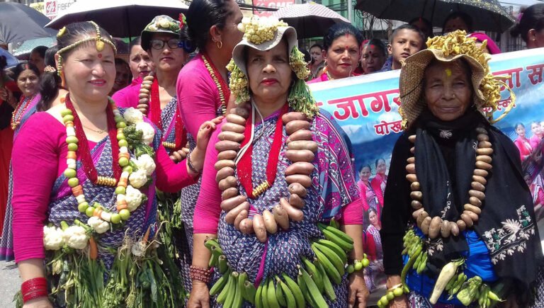 आलु महोत्सवको तयारी अन्तिम चरणमा
